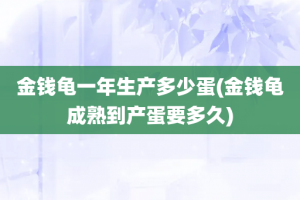 金钱龟一年生产多少蛋(金钱龟成熟到产蛋要多久)