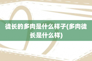 徒长的多肉是什么样子(多肉徒长是什么样)