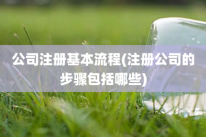 公司注册基本流程(注册公司的步骤包括哪些)