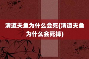 清道夫鱼为什么会死(清道夫鱼为什么会死掉)