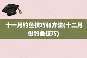 十一月钓鱼技巧和方法(十二月份钓鱼技巧)