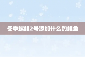 冬季螺鲤2号添加什么钓鲤鱼