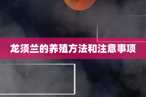 龙须兰的养殖方法和注意事项