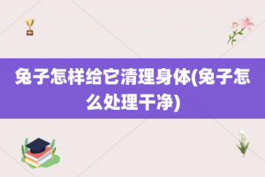 兔子怎样给它清理身体(兔子怎么处理干净)