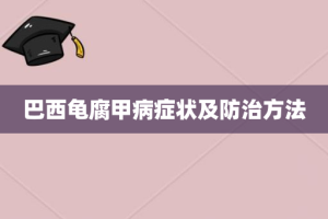 巴西龟腐甲病症状及防治方法