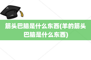 筋头巴脑是什么东西(羊的筋头巴脑是什么东西)