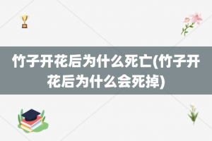 竹子开花后为什么死亡(竹子开花后为什么会死掉)