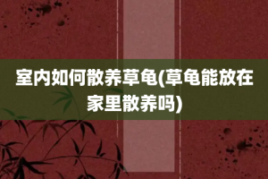室内如何散养草龟(草龟能放在家里散养吗)
