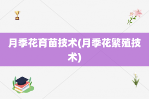 月季花育苗技术(月季花繁殖技术)