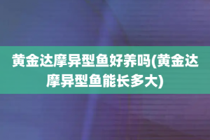 黄金达摩异型鱼好养吗(黄金达摩异型鱼能长多大)
