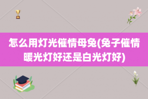 怎么用灯光催情母兔(兔子催情暖光灯好还是白光灯好)