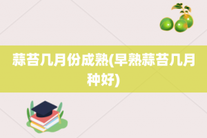 蒜苔几月份成熟(早熟蒜苔几月种好)