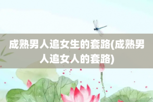 成熟男人追女生的套路(成熟男人追女人的套路)