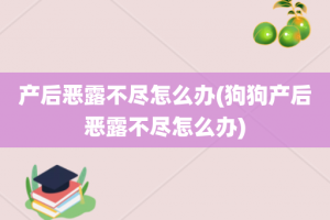 产后恶露不尽怎么办(狗狗产后恶露不尽怎么办)