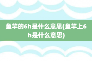 鱼竿的6h是什么意思(鱼竿上6h是什么意思)