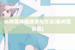 枞树菌种植技术与方法(枞树菌养殖)