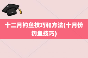 十二月钓鱼技巧和方法(十月份钓鱼技巧)