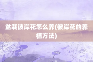 盆栽彼岸花怎么养(彼岸花的养植方法)