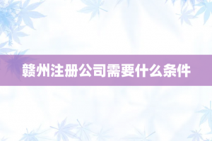 赣州注册公司需要什么条件