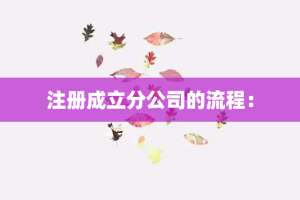 注册成立分公司的流程: