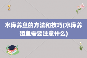 水库养鱼的方法和技巧(水库养殖鱼需要注意什么)