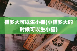 猫多大可以生小猫(小猫多大的时候可以生小猫)
