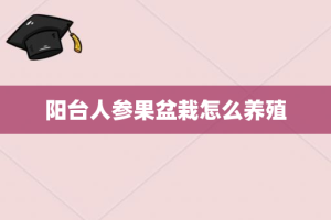 阳台人参果盆栽怎么养殖