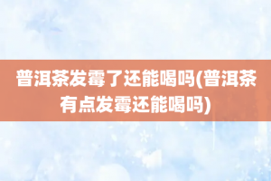 普洱茶发霉了还能喝吗(普洱茶有点发霉还能喝吗)