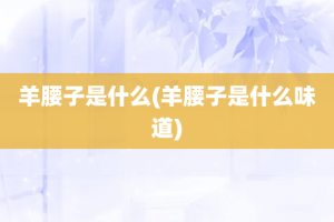 羊腰子是什么(羊腰子是什么味道)