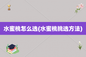 水蜜桃怎么选(水蜜桃挑选方法)