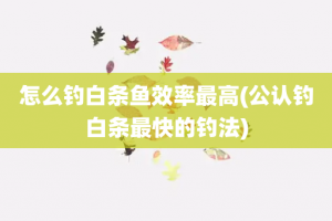 怎么钓白条鱼效率最高(公认钓白条最快的钓法)