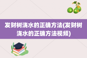 发财树浇水的正确方法(发财树浇水的正确方法视频)