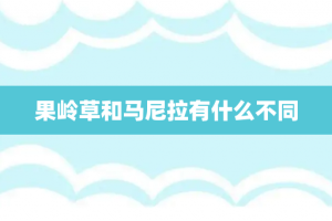 果岭草和马尼拉有什么不同