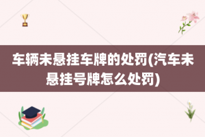 车辆未悬挂车牌的处罚(汽车未悬挂号牌怎么处罚)