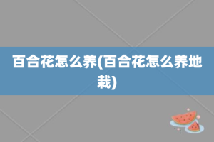 百合花怎么养(百合花怎么养地栽)