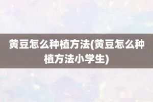 黄豆怎么种植方法(黄豆怎么种植方法小学生)