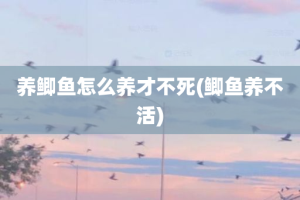 养鲫鱼怎么养才不死(鲫鱼养不活)