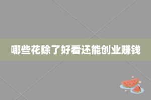 哪些花除了好看还能创业赚钱