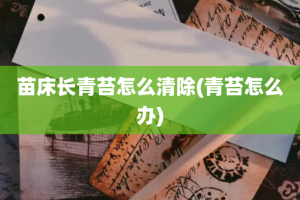 苗床长青苔怎么清除(青苔怎么办)