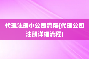 代理注册小公司流程(代理公司注册详细流程)