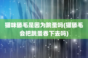 猫咪舔毛是因为跳蚤吗(猫舔毛会把跳蚤吞下去吗)