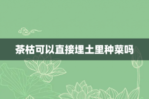 茶枯可以直接埋土里种菜吗