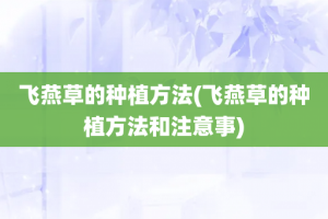 飞燕草的种植方法(飞燕草的种植方法和注意事)