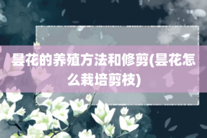 昙花的养殖方法和修剪(昙花怎么栽培剪枝)