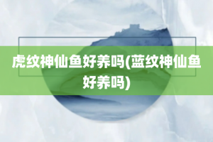 虎纹神仙鱼好养吗(蓝纹神仙鱼好养吗)