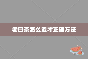 老白茶怎么泡才正确方法