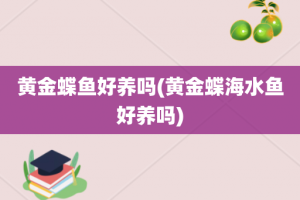 黄金蝶鱼好养吗(黄金蝶海水鱼好养吗)