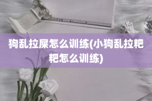 狗乱拉屎怎么训练(小狗乱拉粑粑怎么训练)