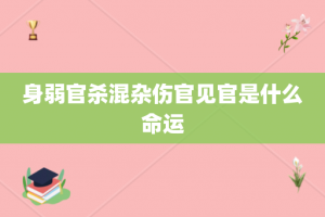 身弱官杀混杂伤官见官是什么命运