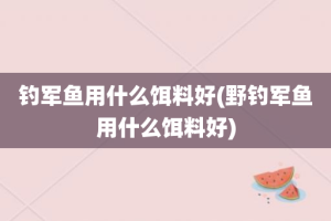 钓军鱼用什么饵料好(野钓军鱼用什么饵料好)